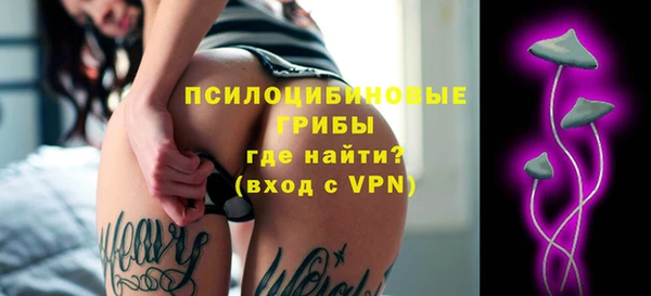 спайс Алзамай
