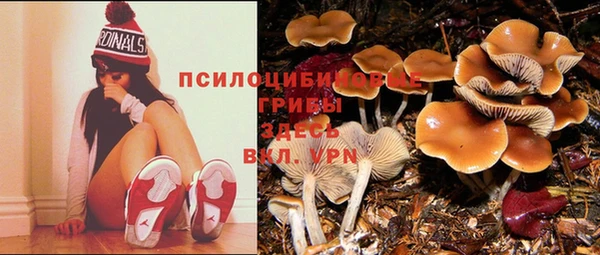 спайс Алзамай